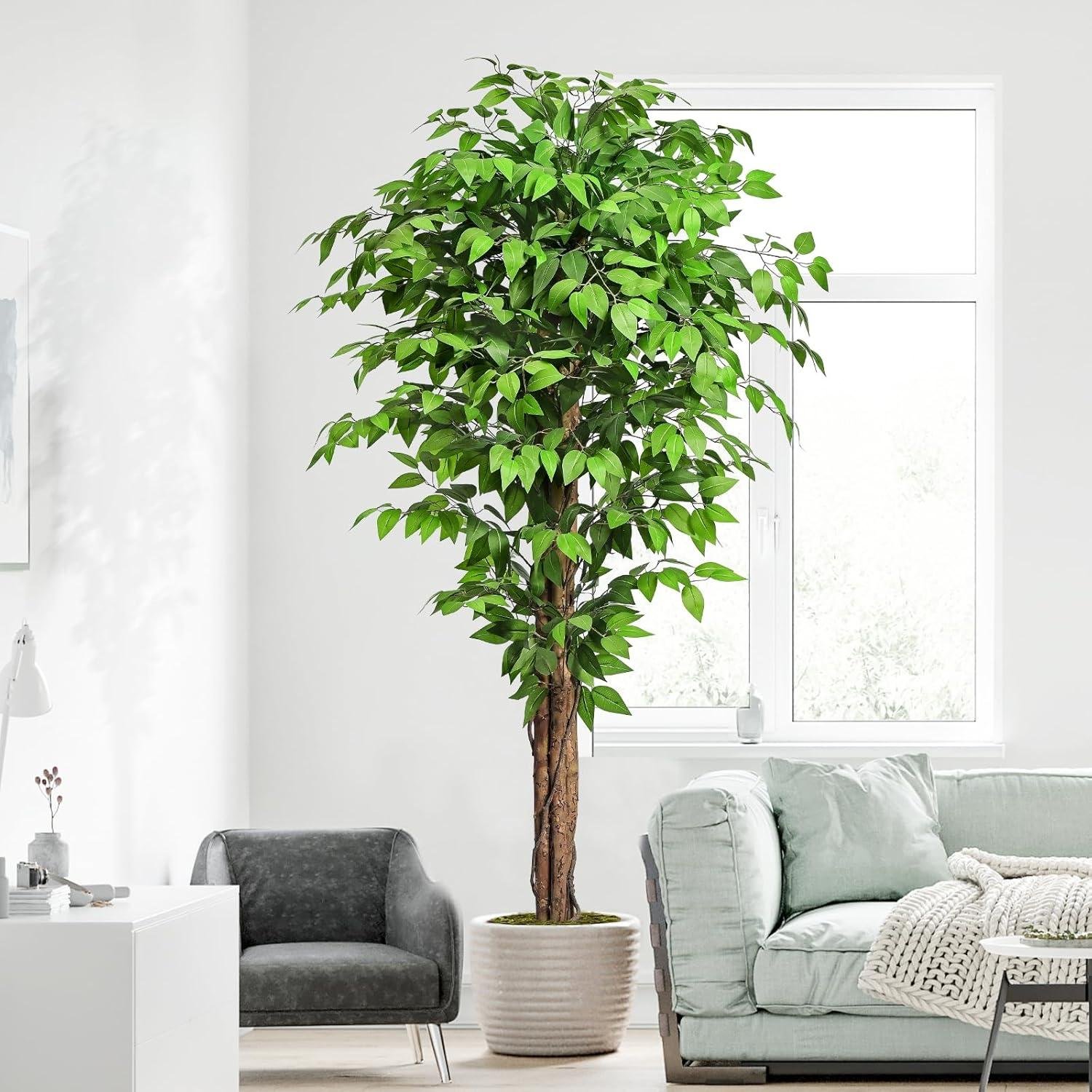 Keeplush Ficus Faux Tree Review: Right Shop Decor?