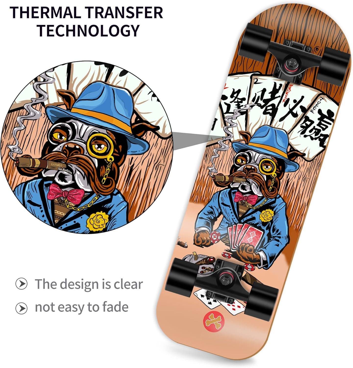 Pet Skateboard Complete Review: Fit for Our Home⁤ Shop?