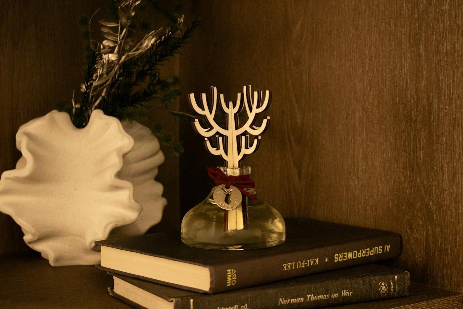 Aronica Diffuser Review: ‍Right Shop ‍Air Tool for Us?