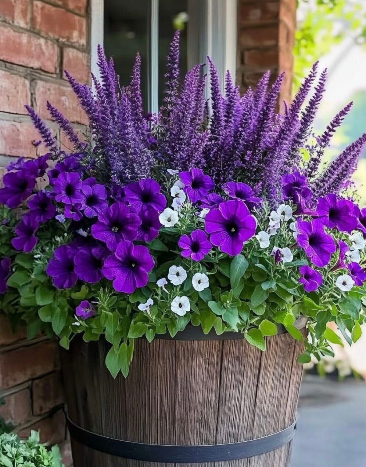 The Ultimate Guide to Mailbox Landscaping: Transform Your Curb Appeal with Full Sun Plants - 2. Cheerful Petunias: Effortless Elegance 1