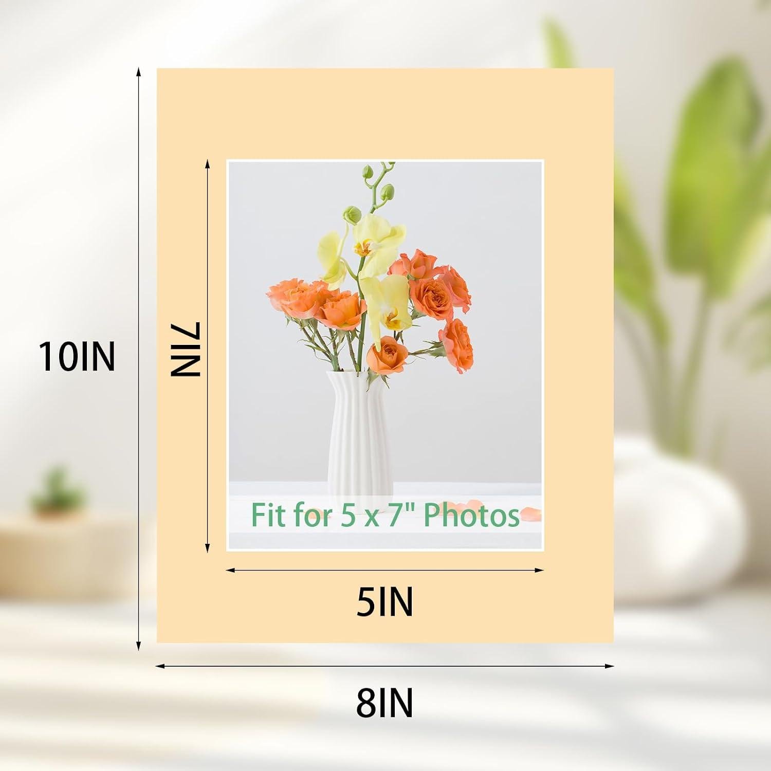 Prudiut Picture Mat Board Review: Right for Our Shop?