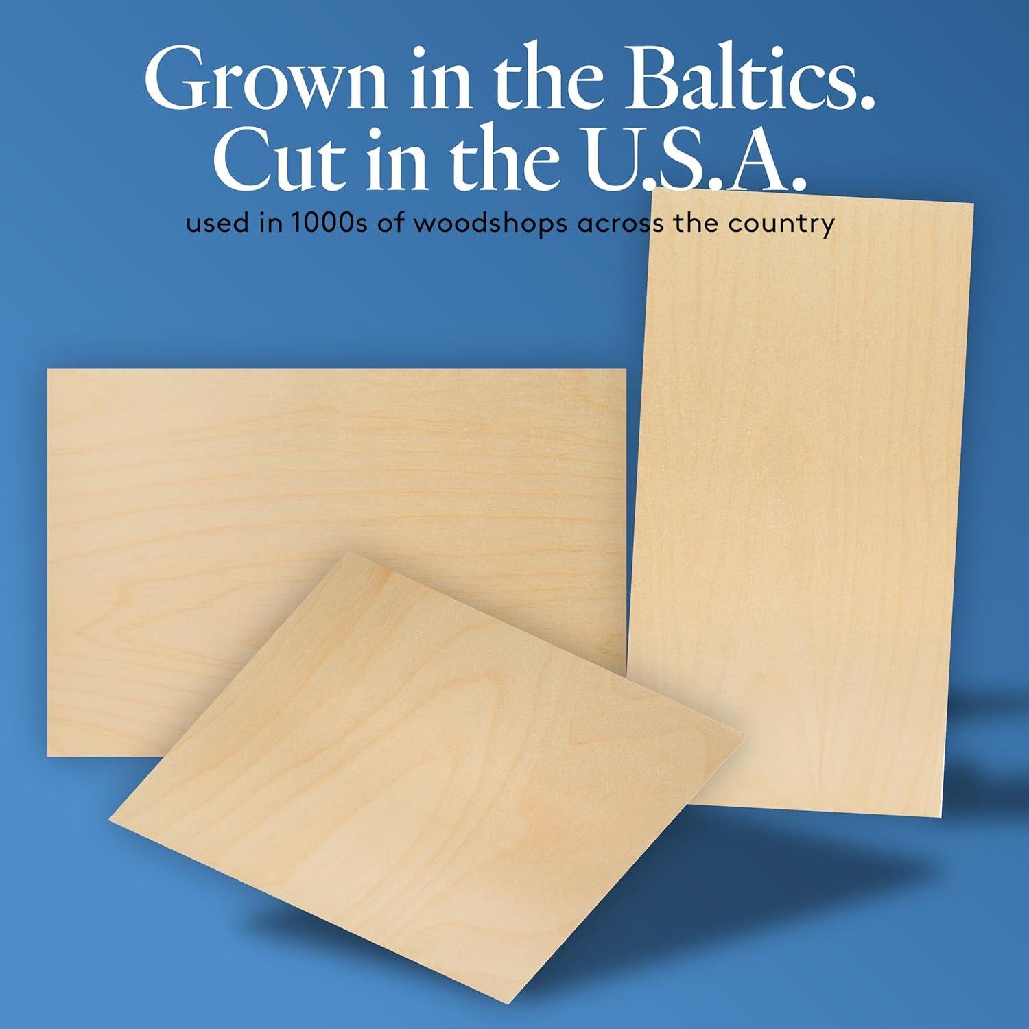 Woodpeckers Birch Plywood Review: Right for Our Shop?