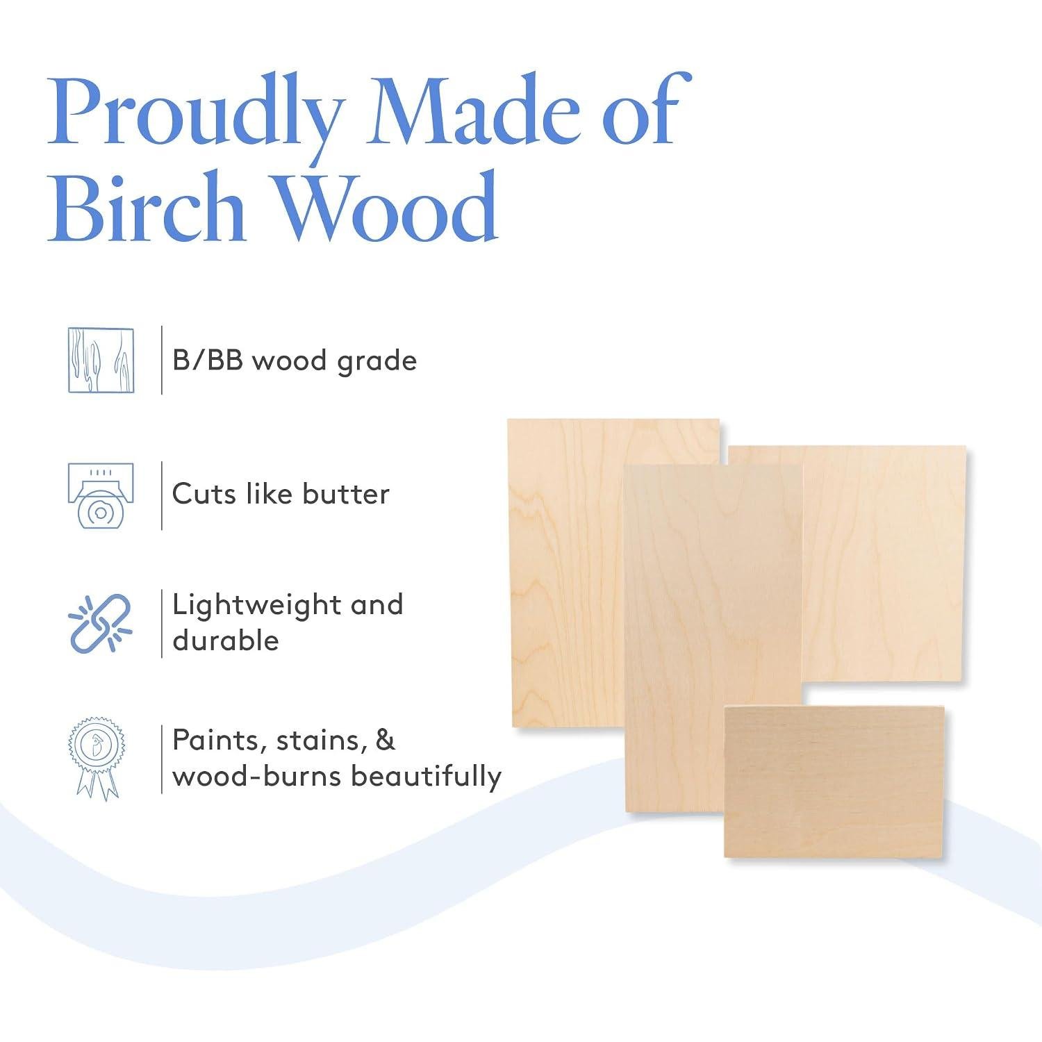 Woodpeckers Birch Plywood Review: Right for Our Shop?