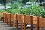 Eco-Friendly Garden Box Sealer: Food-Safe Wood Protection for Planters - Image 7