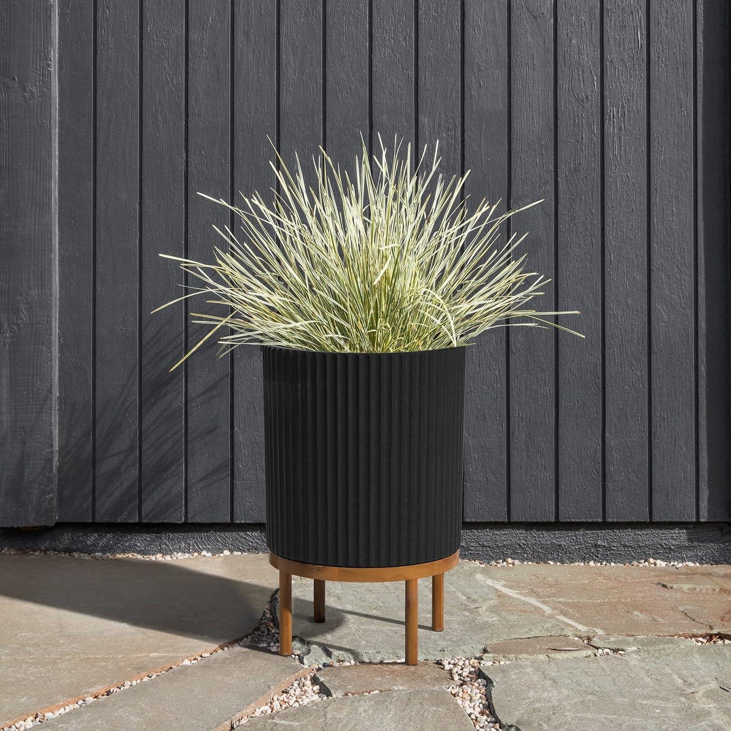 Veradek Demi Planter Stand Review: Right for Our Shop?