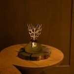 Aronica Diffuser Review: Right Shop Air Tool for Us?