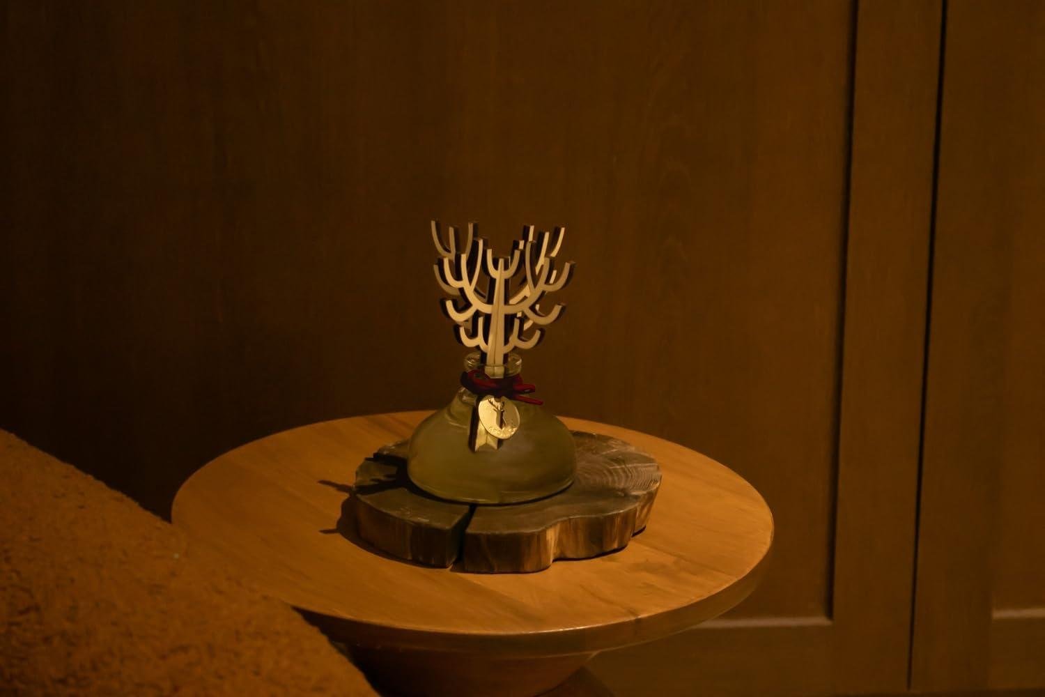 Aronica Diffuser Review: Right Shop Air Tool for Us?